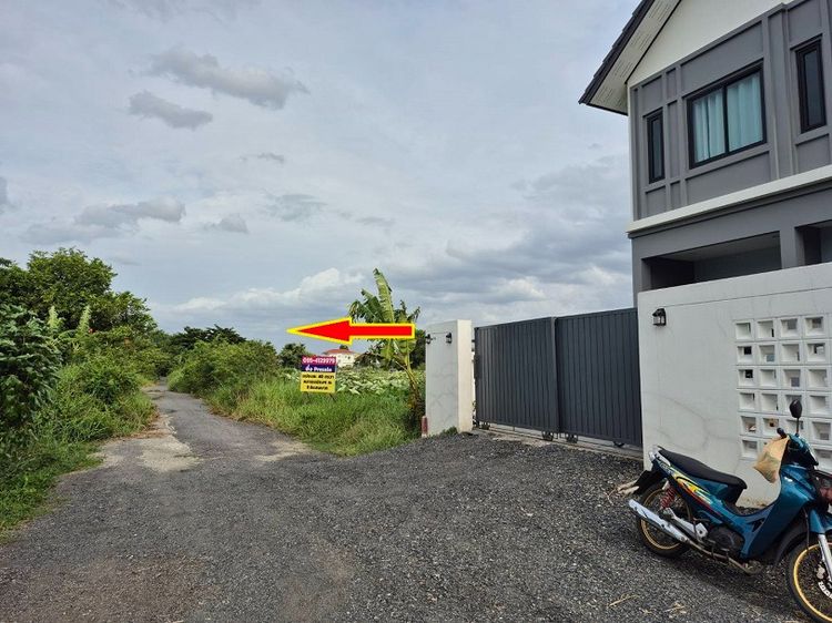 ขายที่ดินจัดสรรพิเศษแปลงจัดสรรพหลโยธิน 54ทับ1 แยก 843 (ซอยตาลเดี่ยว) แปลงพิเศษ 40 ตารางวา ไม่ถึงล้าน 9.6 แสนทำพิเศษมาเพื่อทุกท่านซื้อทำบ้านไ รูปที่ 4