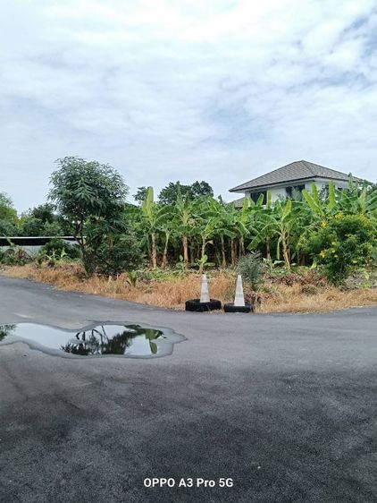 ให้เช่าพื้นที่ดิน