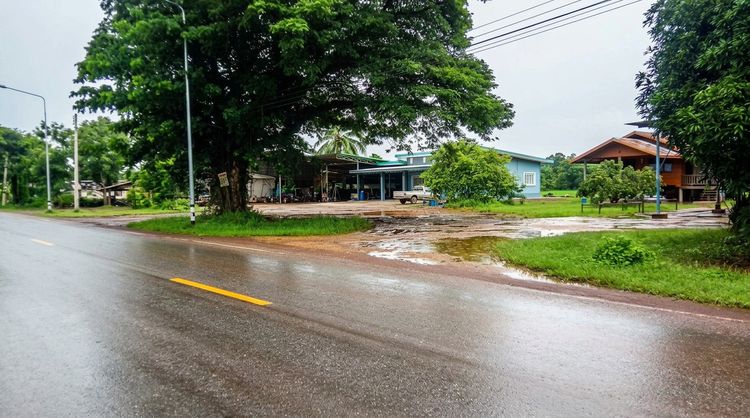 ให้เช่าที่ดิน 4 ไร่ 1 งาน 30 ตร.วา ติดทางหลวง 2091 คูสะคาม วานรนิวาส สกลนคร
