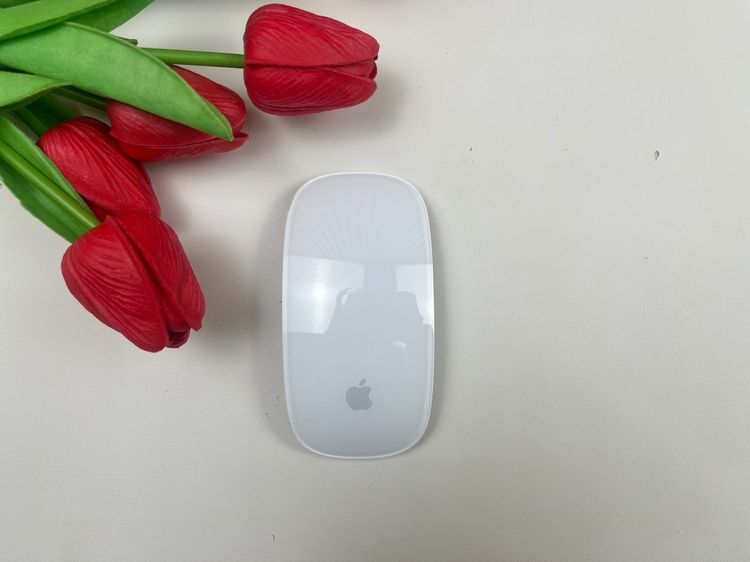 Apple Magic Mouse2 (Lightning)