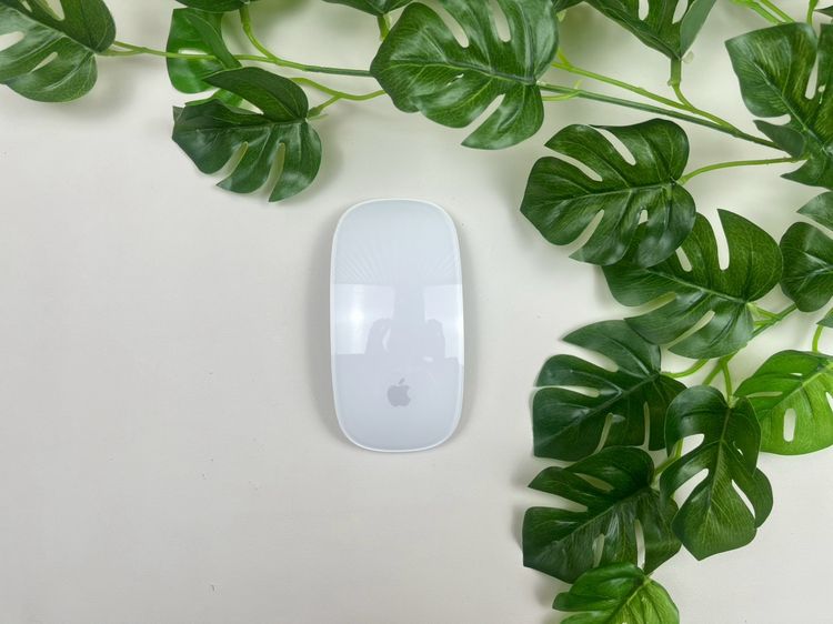 Apple Magic Mouse2 (Lightning) 