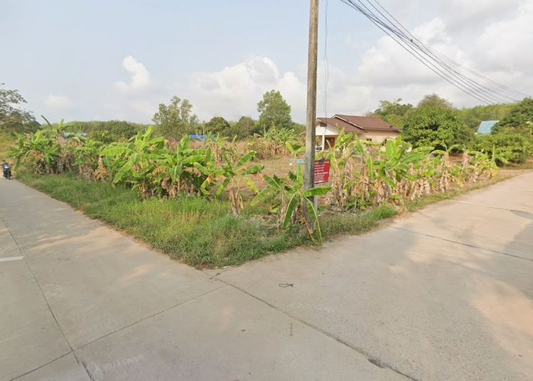 ใช่ ขายด่วน! ที่ดินสวย 160 ตร.วาเศษ ใกล้ถนนสุขุมวิทเพียง 500 ม. / ใกล้หาดแหลมแม่พิมพ์-สวนสน ระยอง (เจ้าของขายเอง) รูปที่ 2