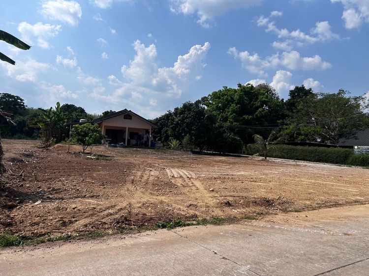 ขายด่วน! ที่ดินสวย 160 ตร.วาเศษ ใกล้ถนนสุขุมวิทเพียง 500 ม. / ใกล้หาดแหลมแม่พิมพ์-สวนสน ระยอง (เจ้าของขายเอง)