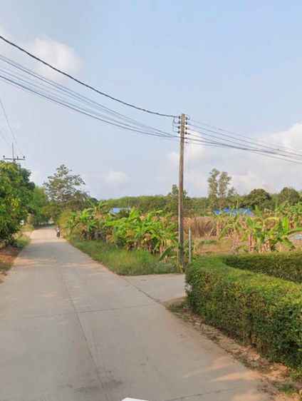 ใช่ ขายด่วน! ที่ดินสวย 160 ตร.วาเศษ ใกล้ถนนสุขุมวิทเพียง 500 ม. / ใกล้หาดแหลมแม่พิมพ์-สวนสน ระยอง (เจ้าของขายเอง) รูปที่ 3