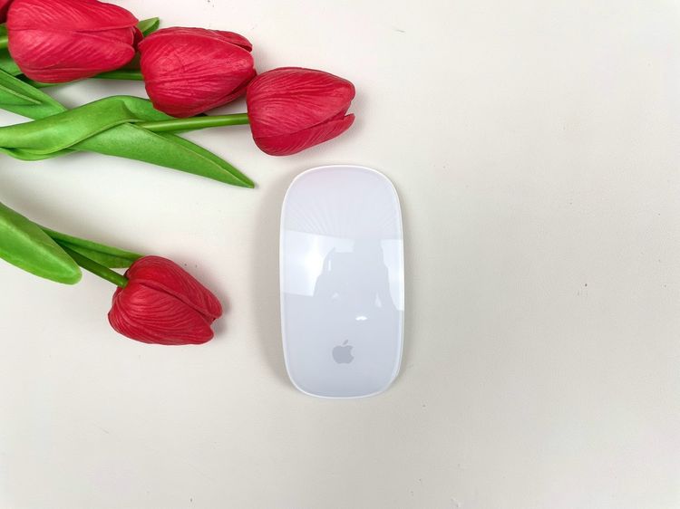 Apple Magic Mouse2 (Lightning)