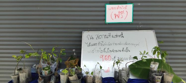 แจกต้นไม้ฟรี
