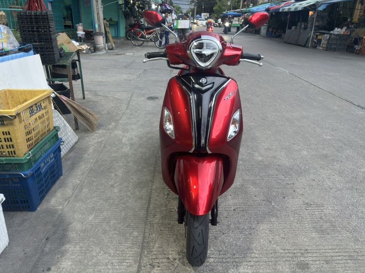 Yamaha 2019 grand filano