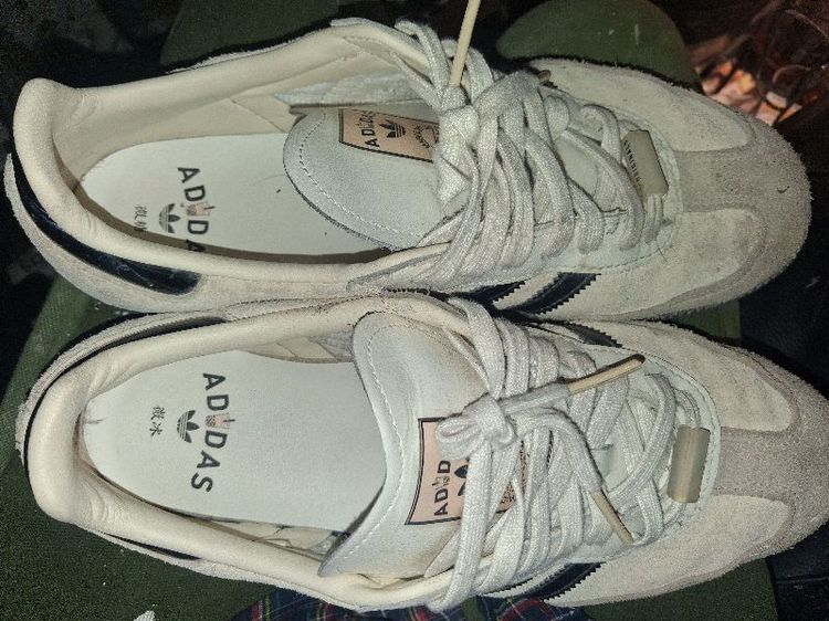 adidasชานม