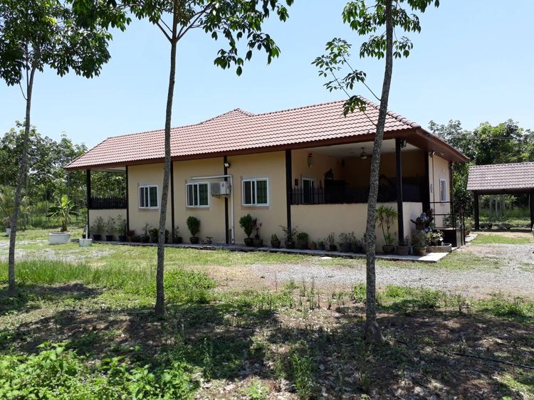 ขายที่ดิน+บ้าน 65ไร่