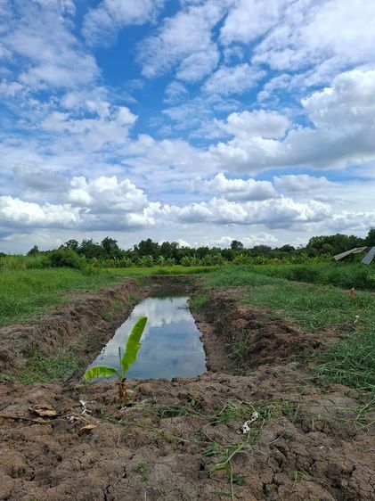ขายที่ดินคลองห้า ตะวันออก 3 (สมถวิล) ใกล้ทางขึ้นทางด่วนวงแหวนกาญจนาภิเษก
