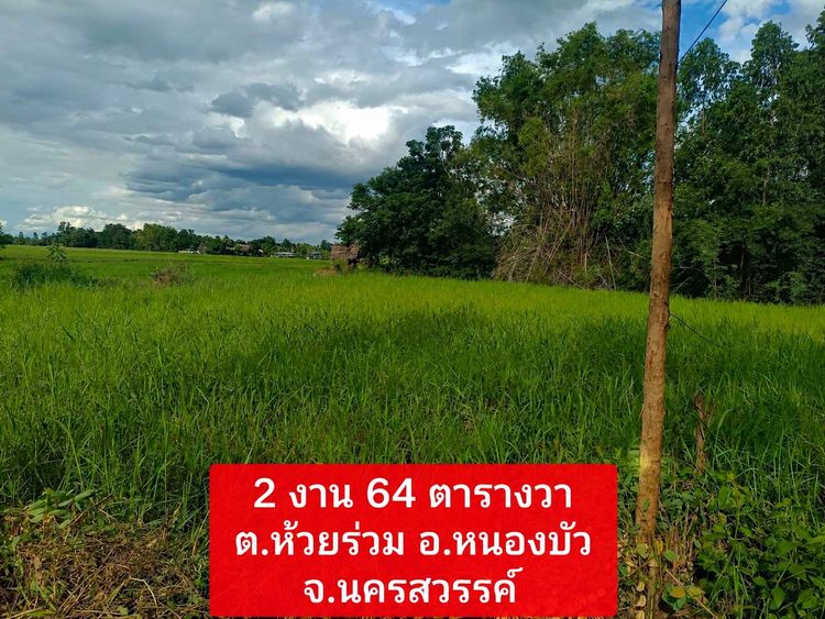 ขายที่ดินเหมาะสร้างบ้าน,บ้านสวน สาธารณูปโภคพร้อม มีเพื่อนบ้าน เป็นส่วนตัว บรรยากาศดี