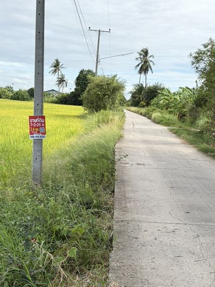ไม่ใช่ ที่ดิน ดอนโพธิ์ทอง สุพรรณบุรี 7-3-25 ไร่ รูปที่ 4