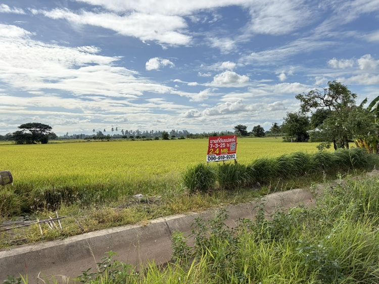 ที่ดิน ดอนโพธิ์ทอง สุพรรณบุรี 7-3-25 ไร่