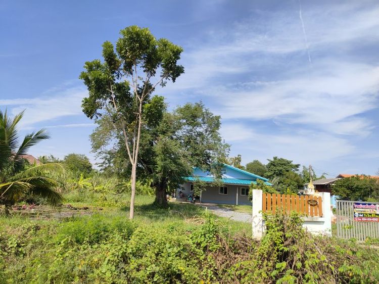 บ้านพร้อมที่ดิน รวม 1ไร่3งาน81ตรว แปลงใหญ่สุดคุ้ม