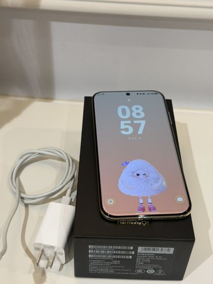 อื่นๆ 256 GB Huawei mate70 air 256