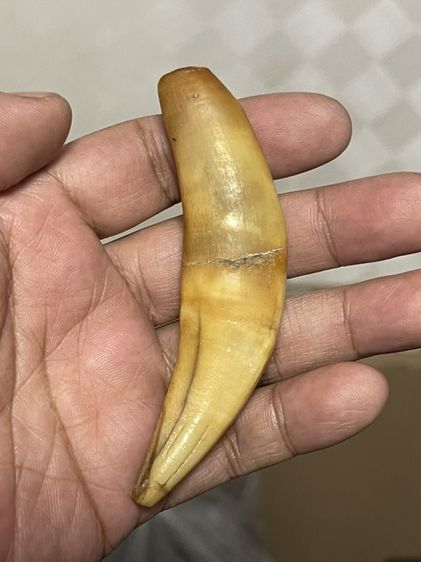 ของเก่าสะสม