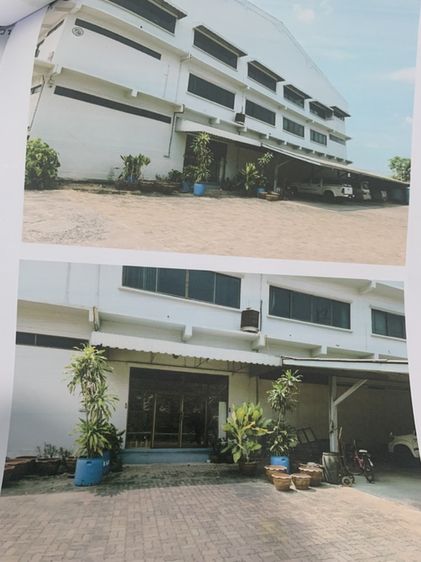 ไม่ใช่ ขายที่ดินมีโนดรวม8ฉบับเนื้อที่รวม7ไร่3งาน61ตรว. รูปที่ 4