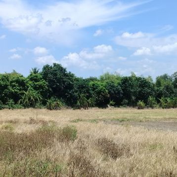 ขายที่ดิน