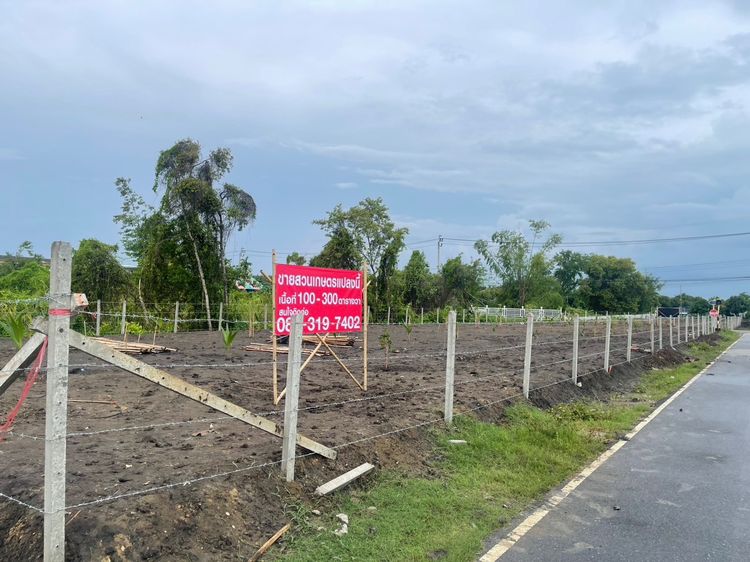 ขายที่ดินสวนเกษตร 100–300 ตร.ว. ติดถนน 2 ด้าน ซอยมหาดไทย บางบัวทอง ใกล้บางกรวย–ไทรน้อย รูปที่ 4