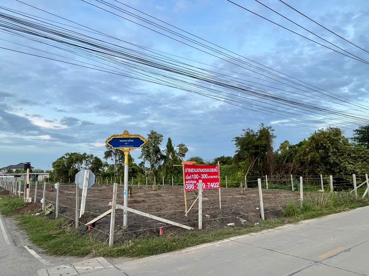 ขายที่ดินสวนเกษตร 100–300 ตร.ว. ติดถนน 2 ด้าน ซอยมหาดไทย บางบัวทอง ใกล้บางกรวย–ไทรน้อย