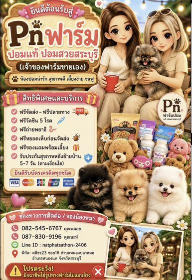 ปอมแท้ราคาถูก