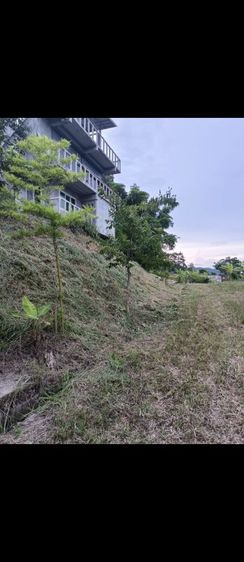 ใช่ ขายที่ดินโฉนดครุฑแดง เขาค้อ ตำบลทุ่งสมอ รูปที่ 4