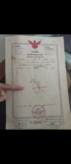 ขายที่ดินโฉนดครุฑแดง เขาค้อ ตำบลทุ่งสมอ
