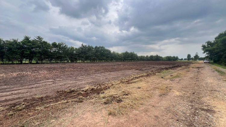 คลอง 11 หนองเสือ ทำเลดี บรรยากาศดี เหมาะสำหรับทำบ้าน ถนน 8 เมตร เพื่อนบ้านครบ จากถนนรังสิตนครนายกแค่ 6.5 กม. รูปที่ 4