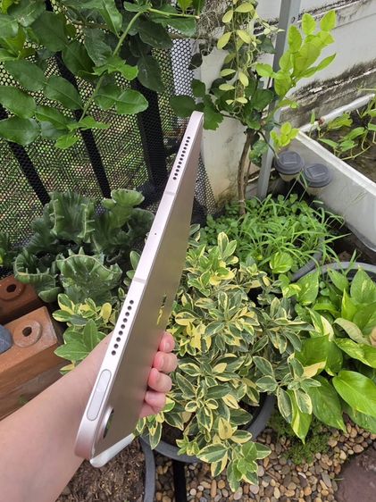IPad Air 5 M1 256GB Cellular + Pencil 2 กล่องครบ เครื่องสวย รูปที่ 8