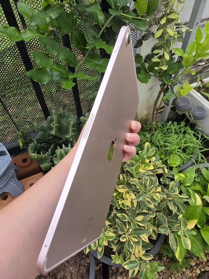 IPad Air 5 M1 256GB Cellular + Pencil 2 กล่องครบ เครื่องสวย รูปที่ 2