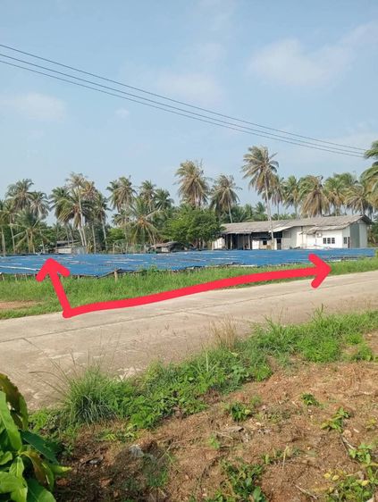 ที่ดินเปล่าห่างทะเล รูปที่ 3