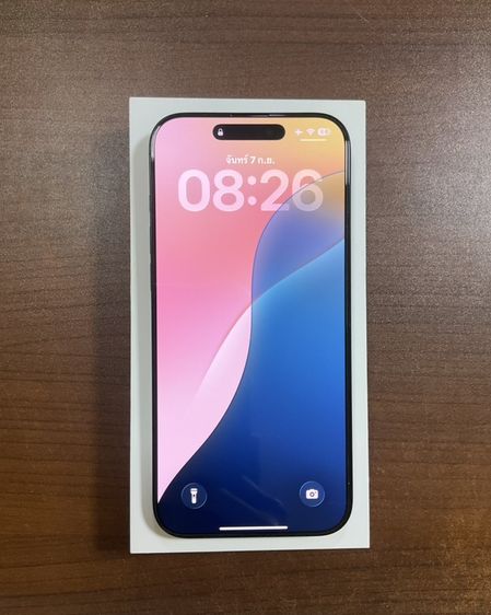 16 Pro Max 256 GB