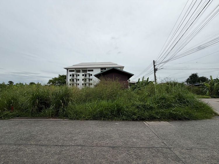 อยากสร้างบ้านเองใกล้กรุงเทพ แต่หาที่ดินขนาดกำลังดีอยู่หรือเปล่า รูปที่ 4