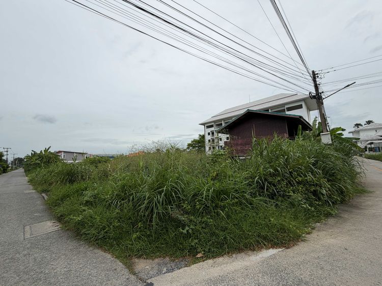 อยากสร้างบ้านเองใกล้กรุงเทพ แต่หาที่ดินขนาดกำลังดีอยู่หรือเปล่า รูปที่ 2