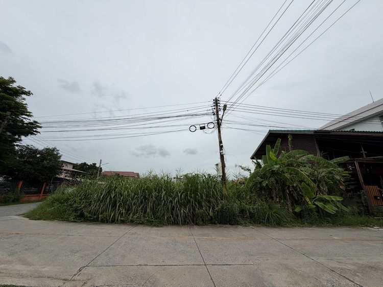 อยากสร้างบ้านเองใกล้กรุงเทพ แต่หาที่ดินขนาดกำลังดีอยู่หรือเปล่า รูปที่ 3