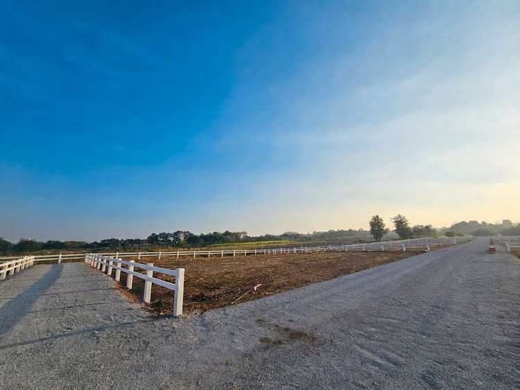 ที่ดินวิวเขา 200 ตร.ว. ทำเลศักยภาพ ใจกลางเขาใหญ่ พร้อมให้คุณสร้างบ้านพักตาก รูปที่ 4