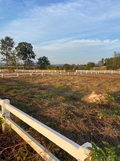 ที่ดินสวย 200 ตร.ว. โครงการคลองม่วงฮิลล์ รูปที่ 3