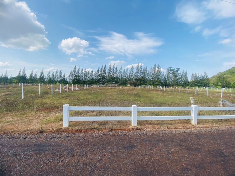 โอกาสทองที่พลาดไม่ได้ ที่ดินเขาใหญ่ วิวภูเขาด้านหน้าเต็มๆ ทำเลสวย ราคานี้หาไม่ได้อีกแล้วในย่านนี้ รูปที่ 3