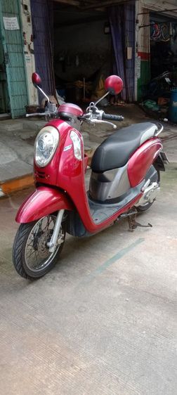 scoopy i prestoge