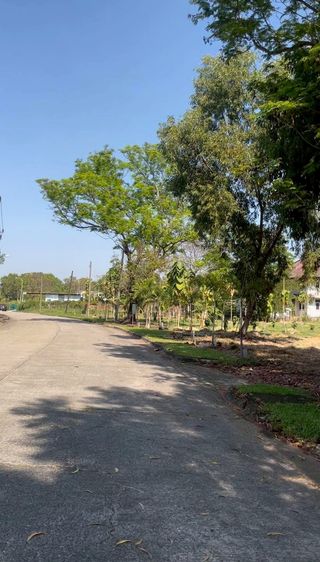 ขายที่ดินเปล่าเขตคลองสามวา โครงการ Forest Park รูปที่ 2