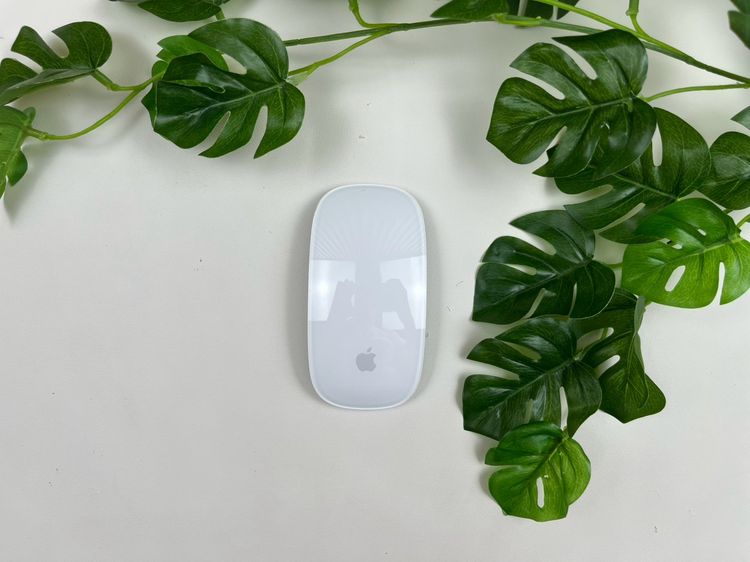 Apple Magic Mouse2 (Lightning) 