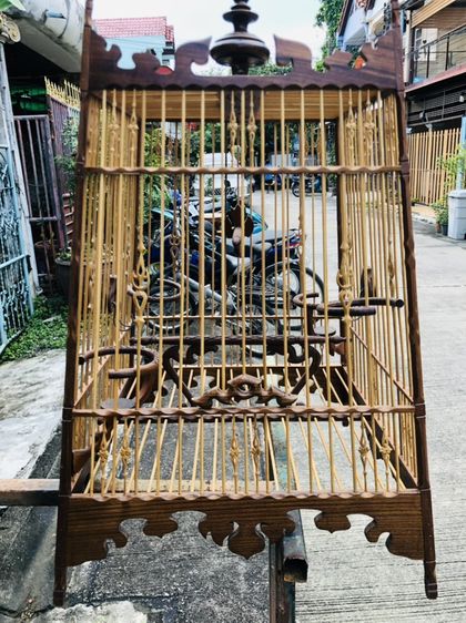 กรงนกหัวจุก รูปที่ 18