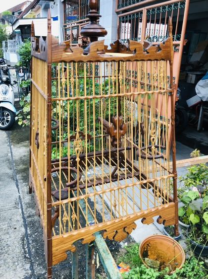กรงนกหัวจุก รูปที่ 17
