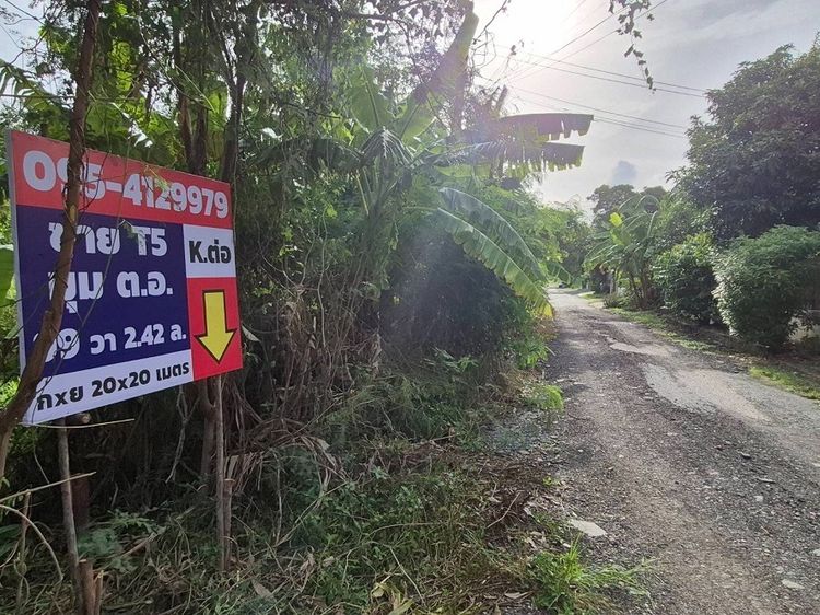 ขายที่ดินแปลงจัดสรรสวยๆๆๆๆพหล-สายไหมอีกแปลง 99 ตารางวามุมแปลงมุมแปลงสวยประจำโซนจัดสรรนี้ พหลโยธิน 54ทับ1 แยก 8-4-3 ซอยตาลเดี่ยว มุมตะวันออก  รูปที่ 4