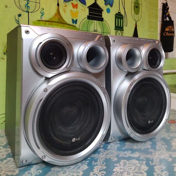 ลำโพงขนาดใหญ่ ตู้ลำโพง LG