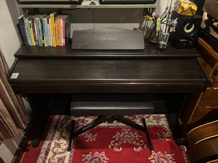 CELVIANO CASIO AP-20