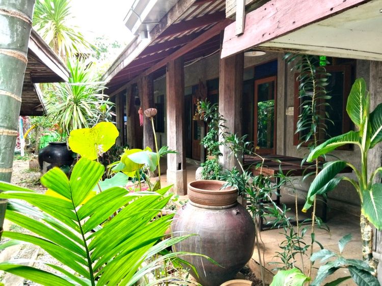 ให้เช่าบ้านใหญ่พร้อมเฟอร์ น้ำแพร่ หางดง ใกล้ปัญญาเด่น สวนใหญ่