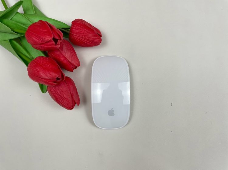 Apple Magic Mouse2 (Lightning)