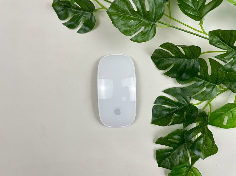 Apple Magic Mouse2 (Lightning) 
