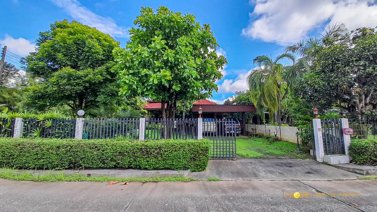 อื่นๆ ตกแต่งครบ สร้างเสร็จก่อน 2010 🏡 บ้านเดี่ยวชั้นเดียวสไตล์โมเดิร์นล้านนาให้เช่า โซนสันผีเสื้อ  พื้นที่กว้างถึง 200 ตารางวา พร้อมรองรับสัตว์เลี้ยง